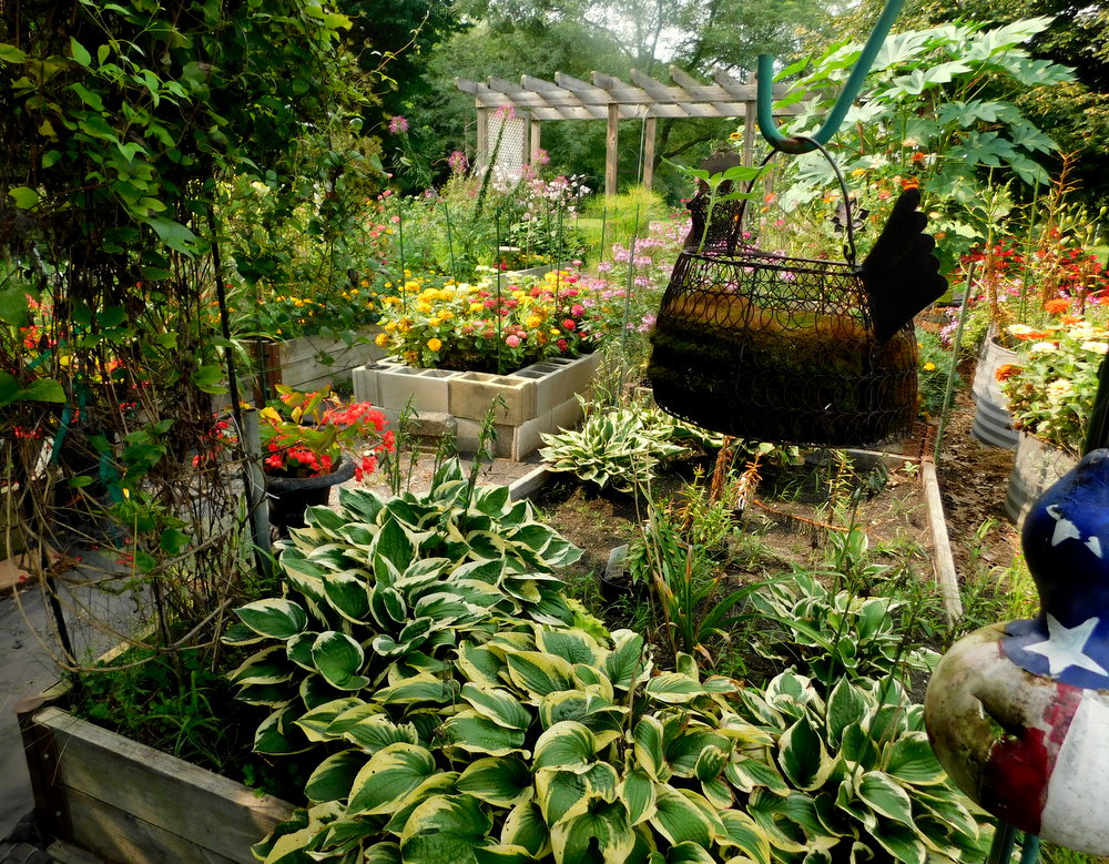 Garden of hosta