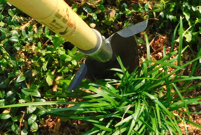 Spear Headed Spade or Shovel