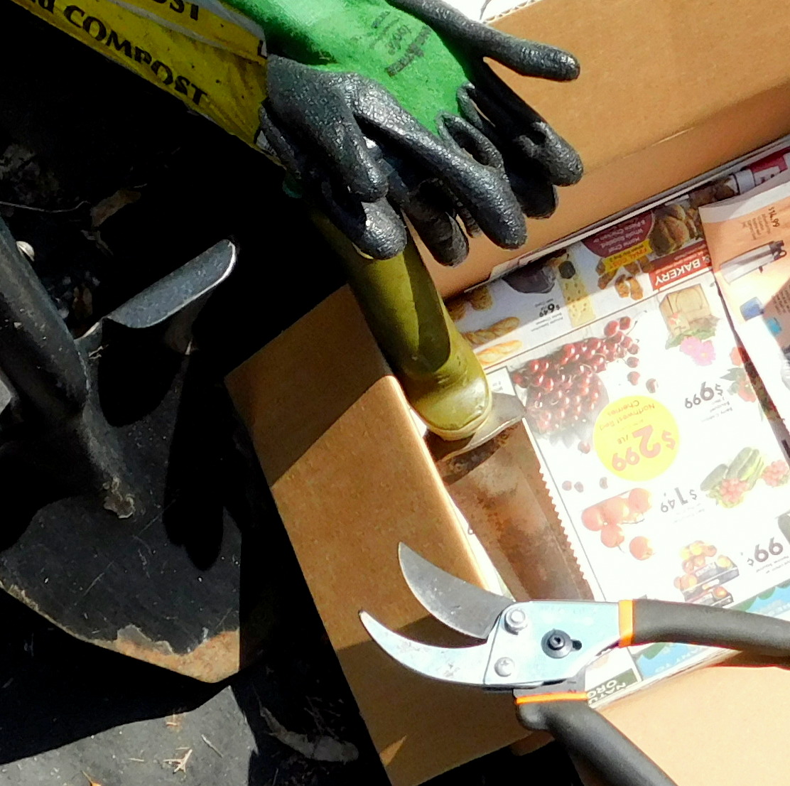 tools to prep and store elephant ears