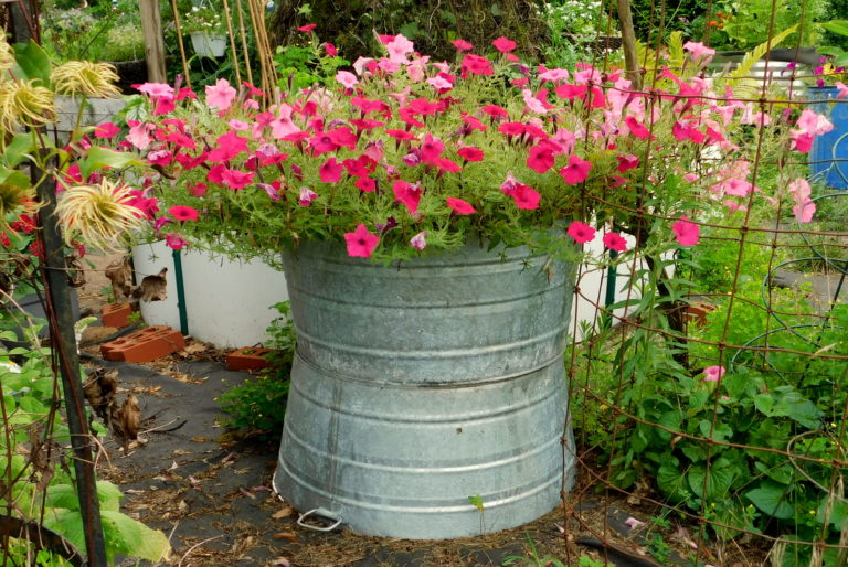 Large Galvanized Tubs for Gardening