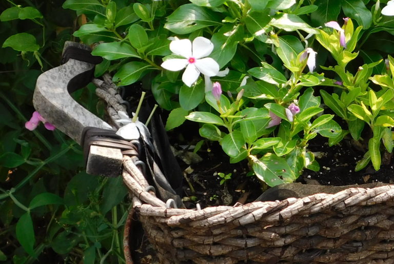 Repurpose Containers as Rustic Garden Planters