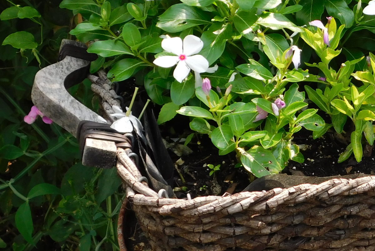 Repurpose containers as rustic garden planters